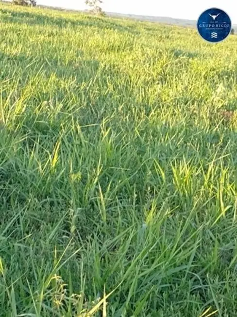 Foto 7 de Chácara à venda em Bom Jardim De Goias - GO