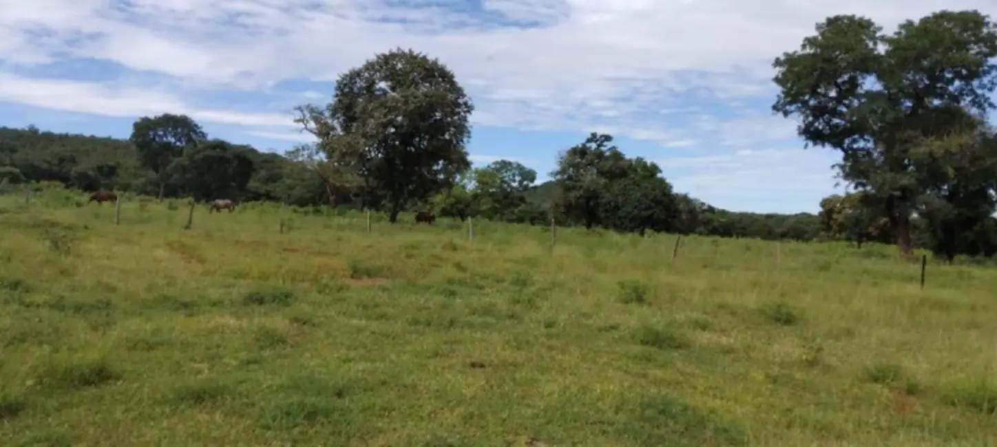 Foto 9 de Fazenda / Haras com 3 quartos à venda, 121m2 em Montes Claros De Goias - GO