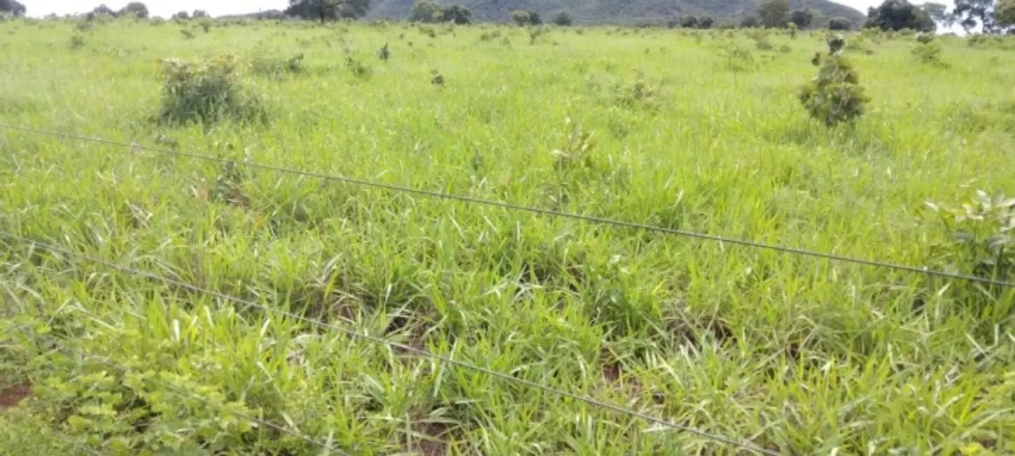 Foto 2 de Fazenda / Haras com 3 quartos à venda, 121m2 em Montes Claros De Goias - GO