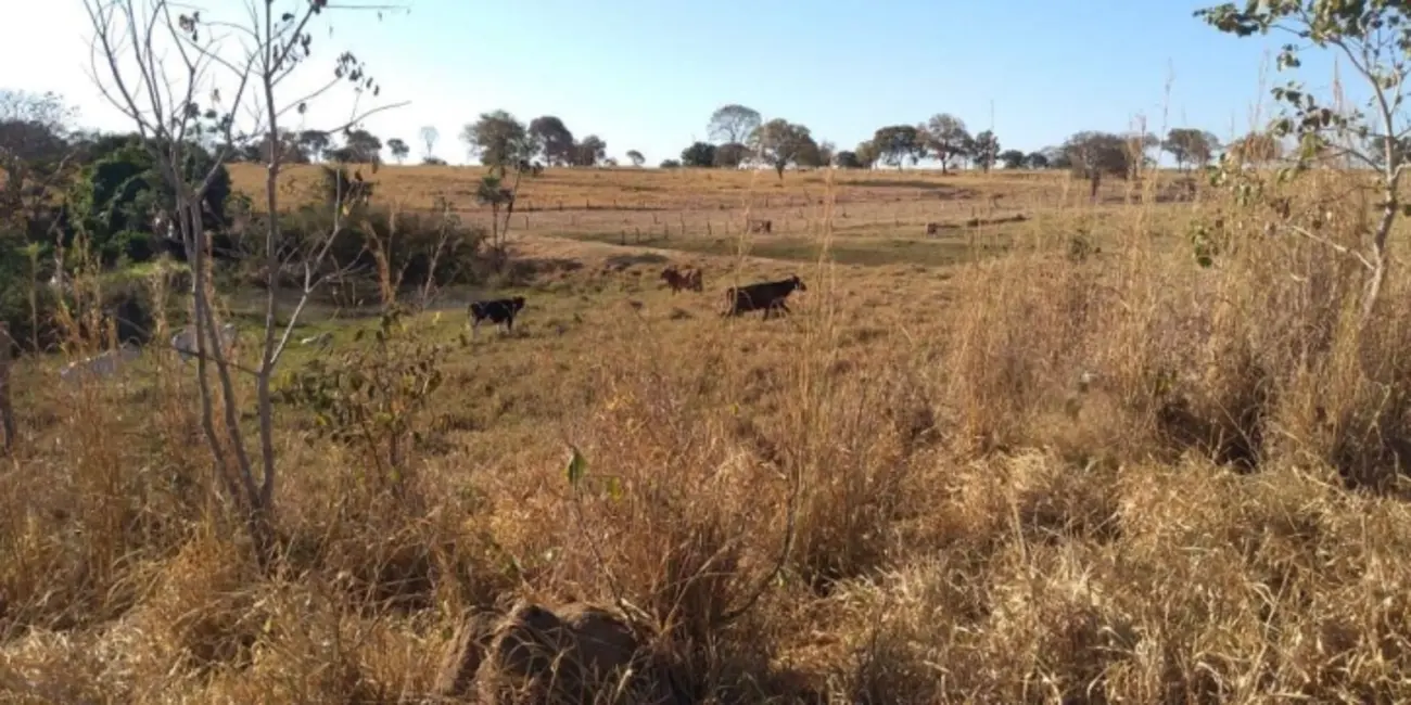 Foto 7 de Fazenda / Haras com 3 quartos à venda, 121m2 em Montes Claros De Goias - GO