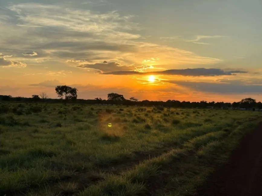 Foto 1 de Fazenda / Haras à venda, 74m2 em Nova Crixas - GO