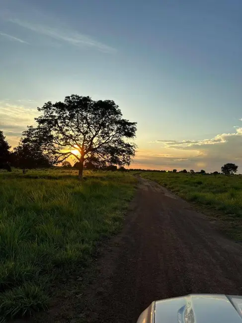 Foto 7 de Fazenda / Haras à venda, 74m2 em Nova Crixas - GO