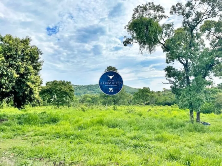 Foto 4 de Fazenda / Haras à venda, 41m2 em Crixas - GO