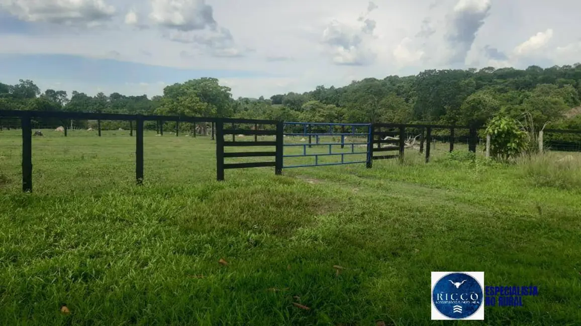 Foto 2 de Fazenda / Haras à venda, 100m2 em Mozarlandia - GO