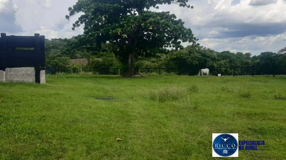 Foto 1 de Fazenda / Haras à venda, 100m2 em Mozarlandia - GO