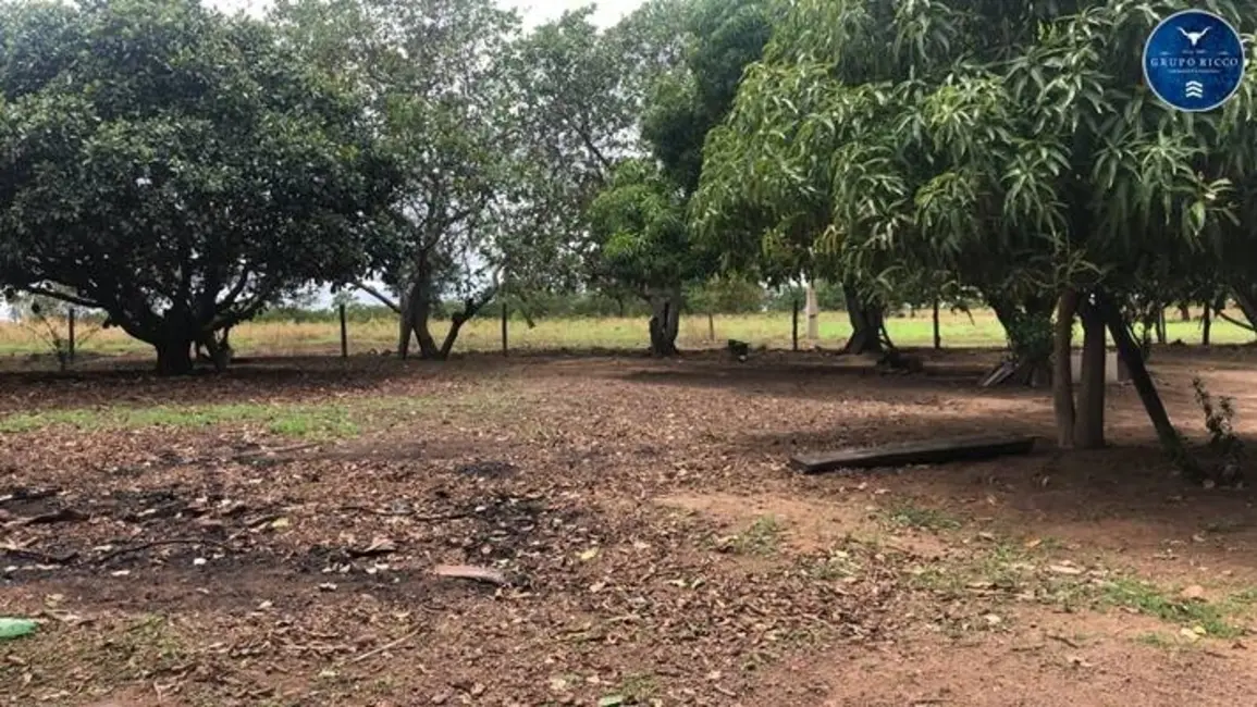 Foto 2 de Fazenda / Haras à venda, 65m2 em Nova Xavantina - MT
