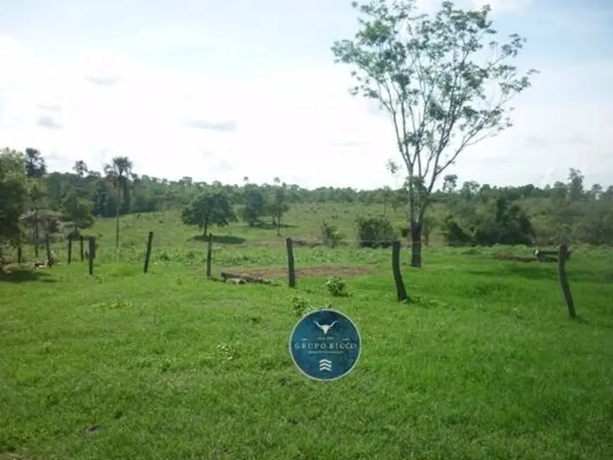 Foto 8 de Fazenda / Haras à venda, 108m2 em Amaralina - GO