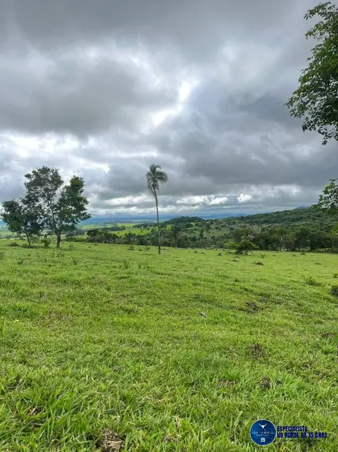 Chácara com 2 quartos à venda em Sao Luis De Montes Belos - GO - imagem 4 Foto 4 de Chácara com 2 quartos à venda em Sao Luis De Montes Belos - GO
