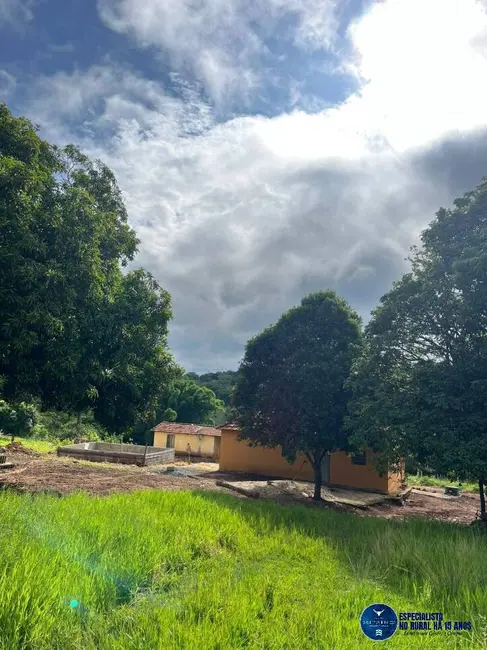 Chácara com 2 quartos à venda em Sao Luis De Montes Belos - GO - imagem 9 Foto 9 de Chácara com 2 quartos à venda em Sao Luis De Montes Belos - GO