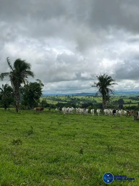 Chácara com 2 quartos à venda em Sao Luis De Montes Belos - GO - imagem 5 Foto 5 de Chácara com 2 quartos à venda em Sao Luis De Montes Belos - GO
