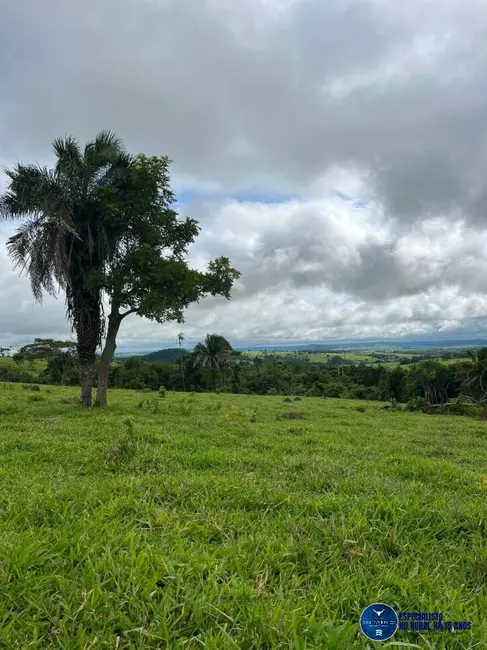 Chácara com 2 quartos à venda em Sao Luis De Montes Belos - GO - imagem 6 Foto 6 de Chácara com 2 quartos à venda em Sao Luis De Montes Belos - GO