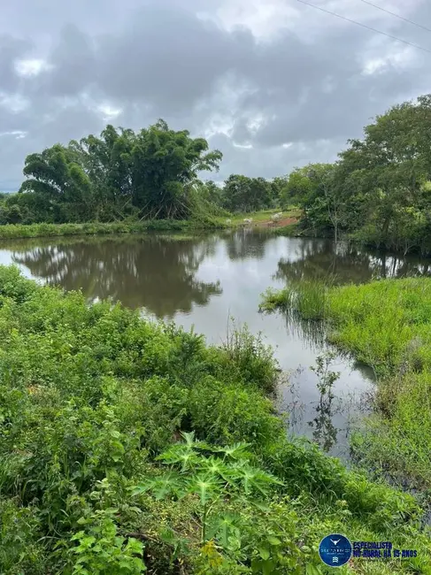 Chácara com 2 quartos à venda em Sao Luis De Montes Belos - GO - imagem 3 Foto 3 de Chácara com 2 quartos à venda em Sao Luis De Montes Belos - GO