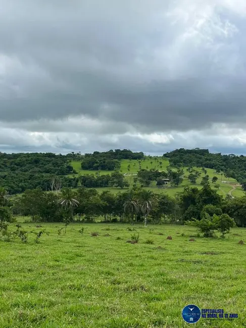Chácara com 2 quartos à venda em Sao Luis De Montes Belos - GO - imagem 2 Foto 2 de Chácara com 2 quartos à venda em Sao Luis De Montes Belos - GO