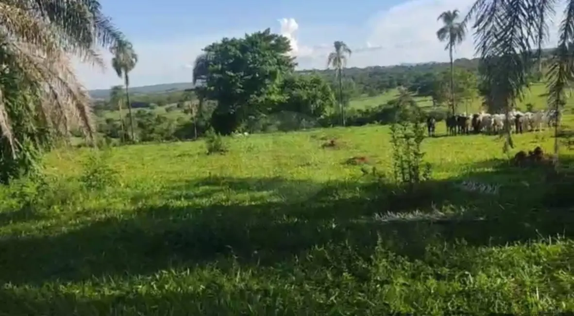 Chácara à venda em Ipora - GO - imagem 3 Foto 3 de Chácara à venda em Ipora - GO