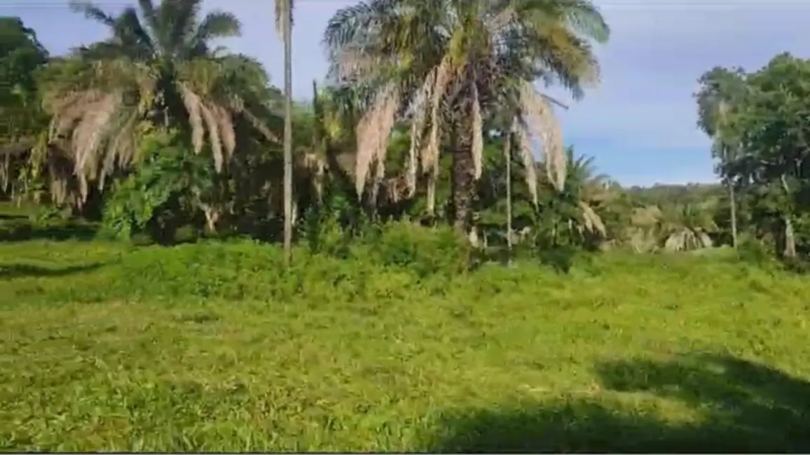 Chácara à venda em Ipora - GO - imagem 4 Foto 4 de Chácara à venda em Ipora - GO