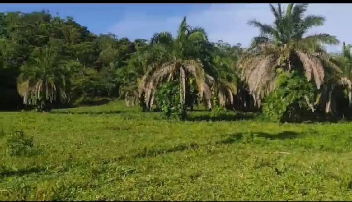 Foto 1 de Chácara à venda em Ipora - GO