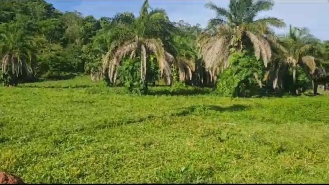 Chácara à venda em Ipora - GO - imagem 5 Foto 5 de Chácara à venda em Ipora - GO