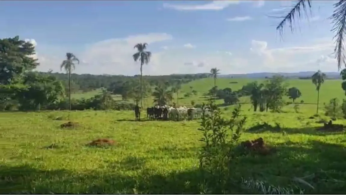 Foto 2 de Chácara à venda em Ipora - GO
