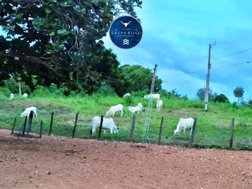 Foto 2 de Fazenda / Haras à venda, 123m2 em Crixas - GO