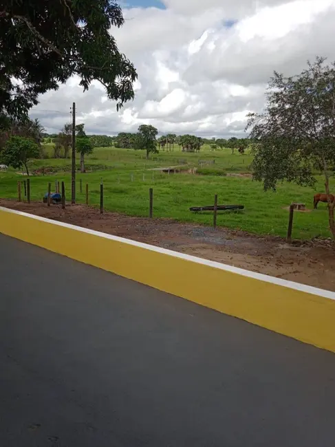 Foto 9 de Chácara com 3 quartos à venda, 18m2 em Novo Brasil - GO