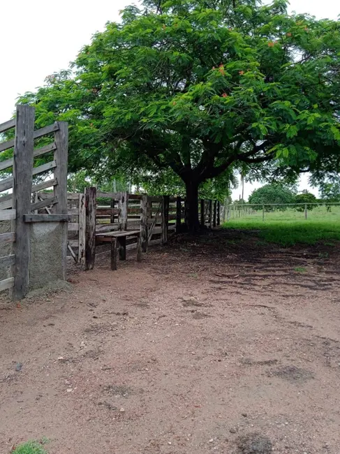 Foto 3 de Chácara com 3 quartos à venda, 18m2 em Novo Brasil - GO