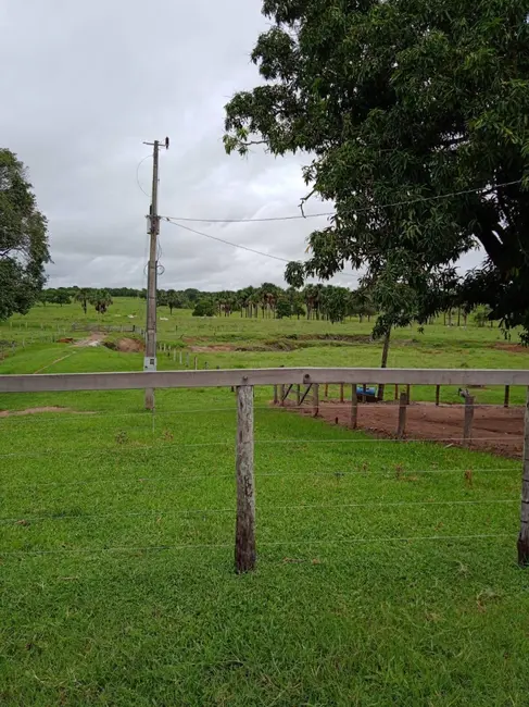 Foto 5 de Chácara com 3 quartos à venda, 18m2 em Novo Brasil - GO