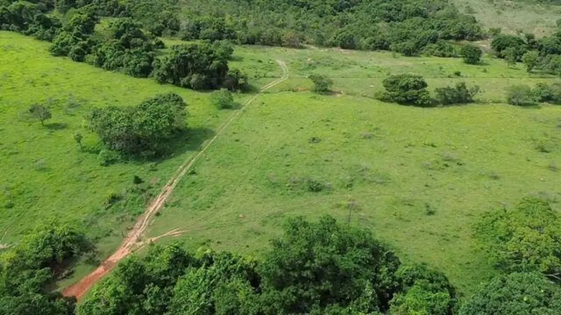 Foto 7 de Fazenda / Haras com 3 quartos à venda, 31m2 em Aragoiania - GO