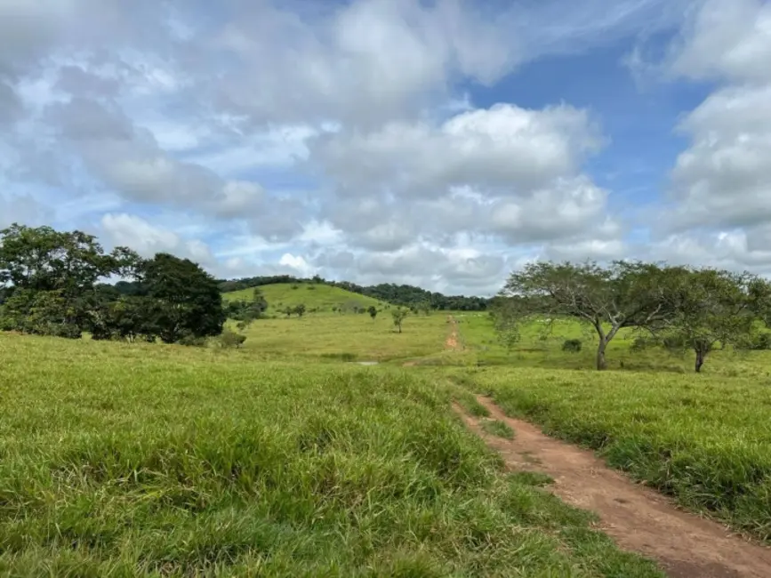 Foto 4 de Chácara à venda em Guapo - GO