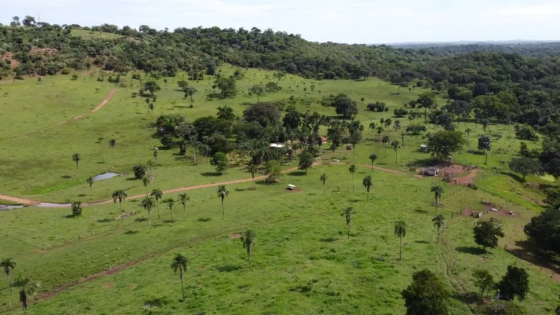 Foto 5 de Fazenda / Haras à venda, 80m2 em Bom Jardim De Goias - GO