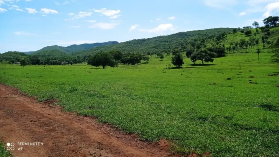 Foto 8 de Fazenda / Haras à venda, 80m2 em Bom Jardim De Goias - GO
