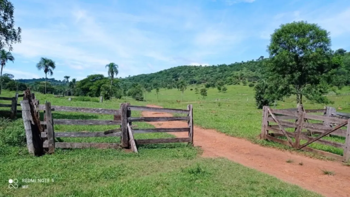 Foto 6 de Fazenda / Haras à venda, 80m2 em Bom Jardim De Goias - GO