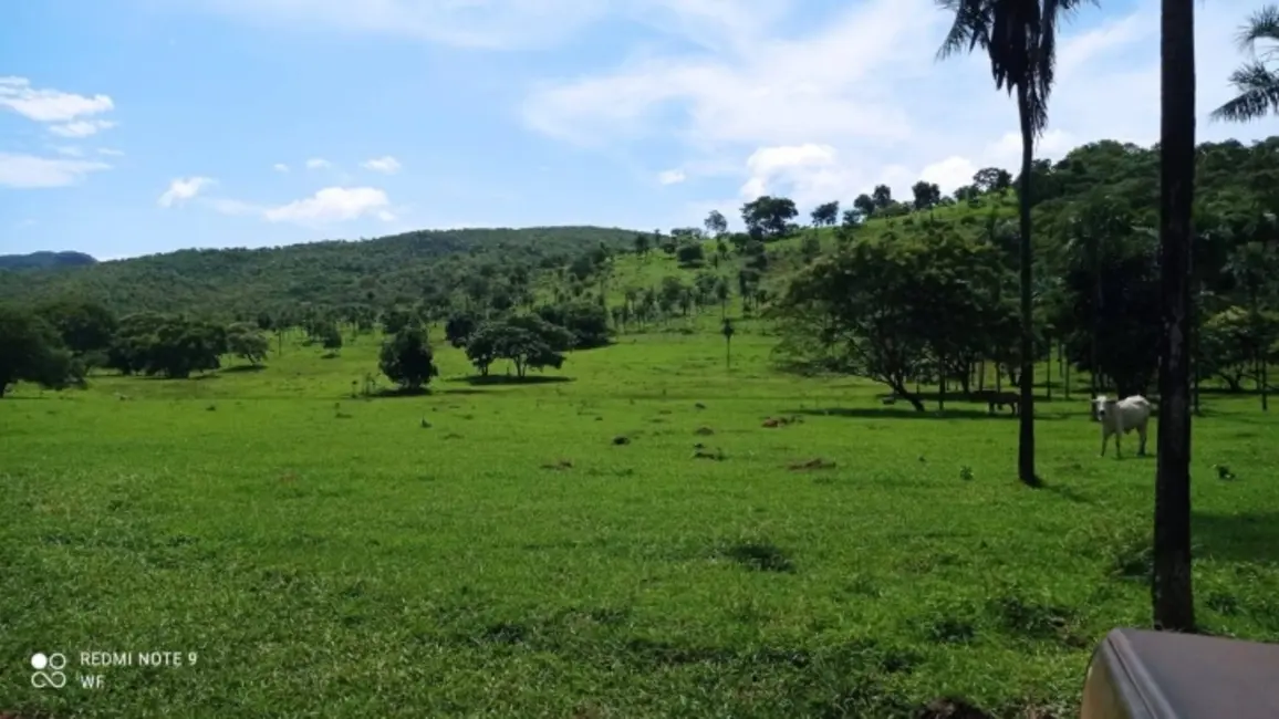 Foto 7 de Fazenda / Haras à venda, 80m2 em Bom Jardim De Goias - GO