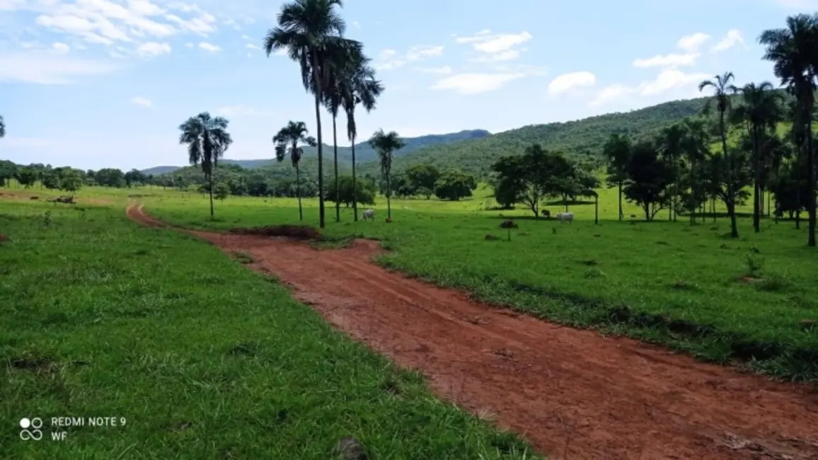 Foto 2 de Fazenda / Haras à venda, 80m2 em Bom Jardim De Goias - GO