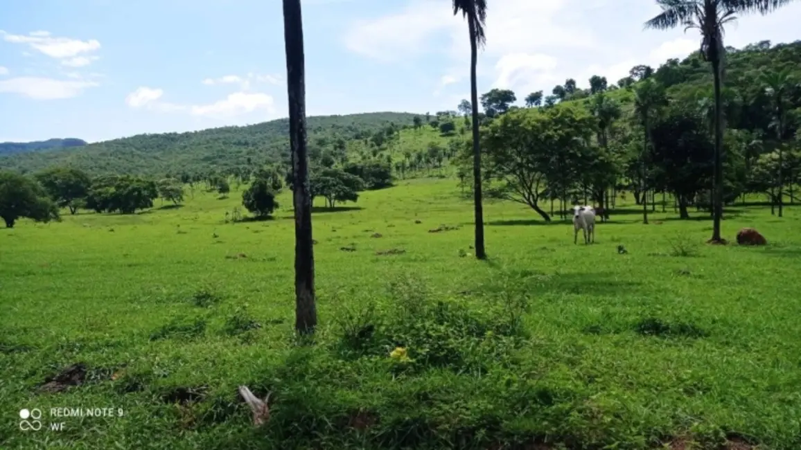 Foto 9 de Fazenda / Haras à venda, 80m2 em Bom Jardim De Goias - GO