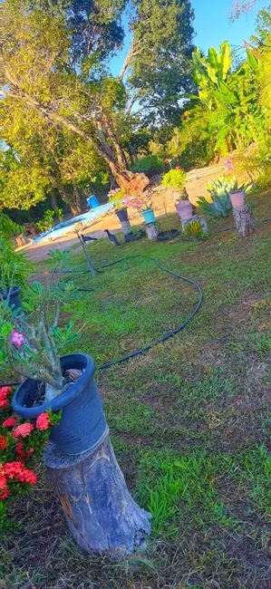 Foto 8 de Chácara com 4 quartos à venda em Araguapaz - GO