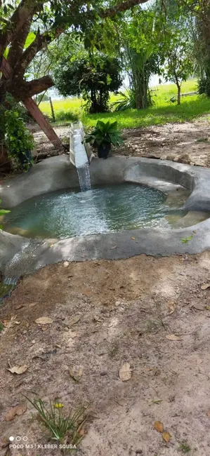 Foto 6 de Chácara com 4 quartos à venda em Araguapaz - GO