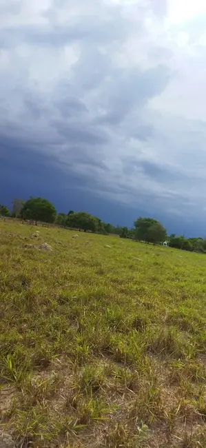 Foto 5 de Chácara com 4 quartos à venda em Araguapaz - GO