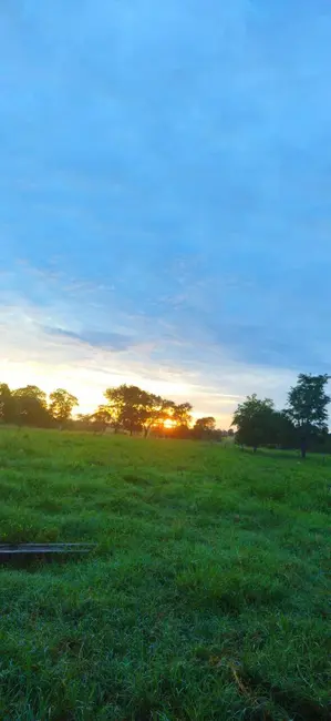 Foto 7 de Chácara com 4 quartos à venda em Araguapaz - GO