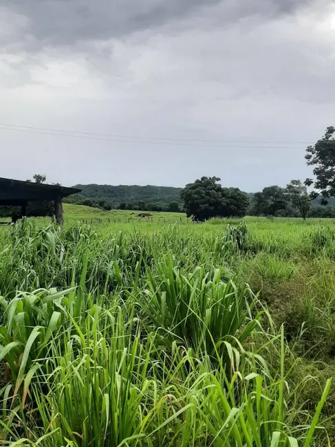 Foto 1 de Fazenda / Haras à venda, 34m2 em Montes Claros De Goias - GO