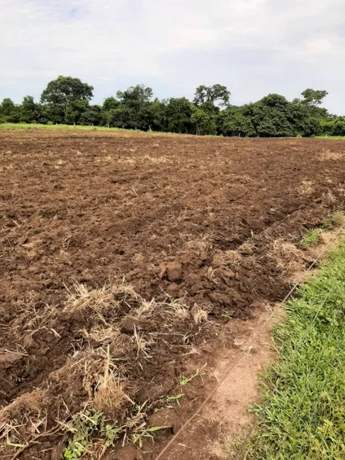 Foto 6 de Fazenda / Haras com 6 quartos à venda, 34m2 em Montes Claros De Goias - GO