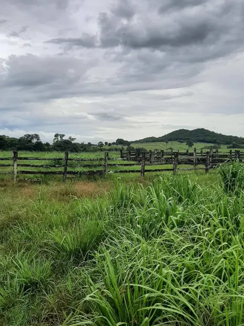 Foto 5 de Fazenda / Haras com 6 quartos à venda, 34m2 em Montes Claros De Goias - GO