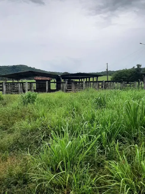 Foto 7 de Fazenda / Haras com 6 quartos à venda, 34m2 em Montes Claros De Goias - GO