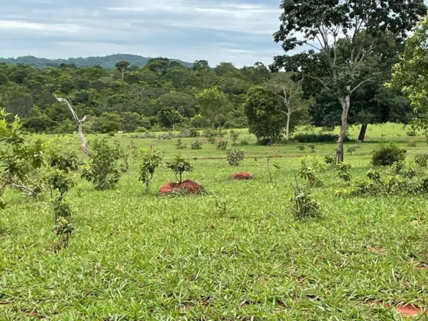 Foto 8 de Chácara à venda, 8m2 em Palestina De Goias - GO