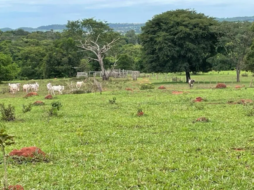 Foto 7 de Chácara à venda, 8m2 em Palestina De Goias - GO