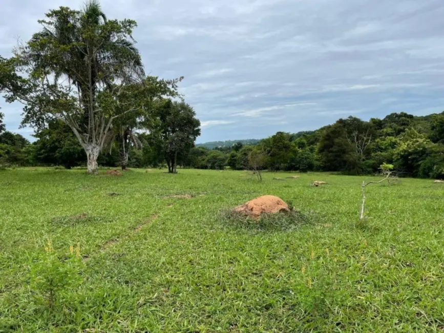 Foto 4 de Chácara à venda, 8m2 em Palestina De Goias - GO