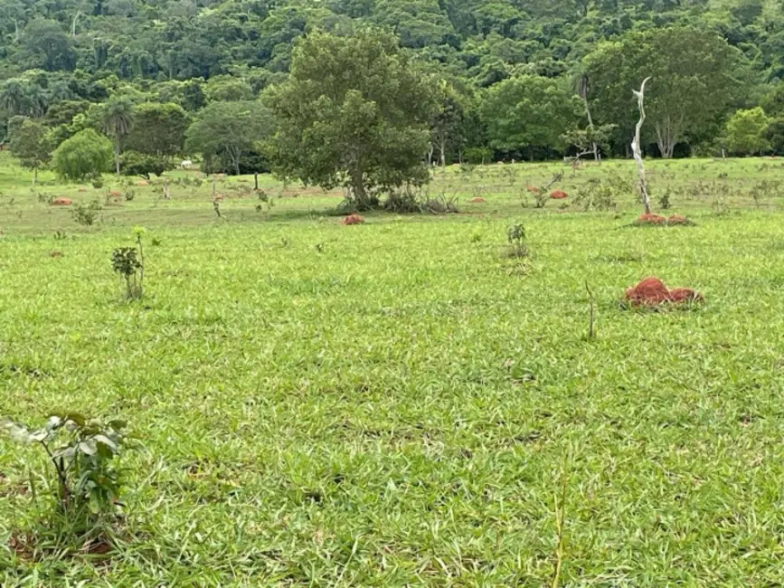 Foto 9 de Chácara à venda, 8m2 em Palestina De Goias - GO