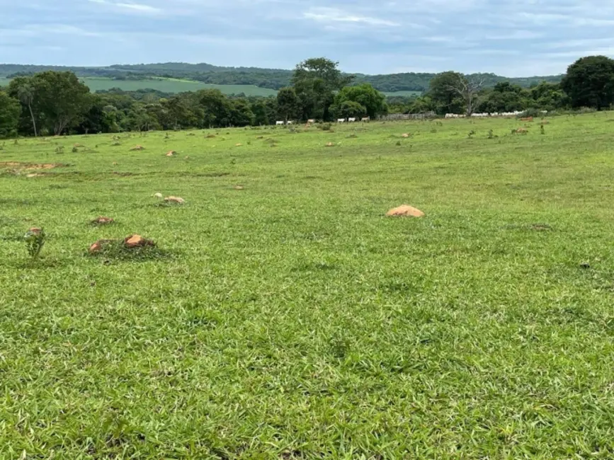 Foto 1 de Chácara à venda, 8m2 em Palestina De Goias - GO