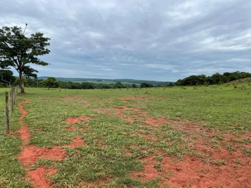 Foto 3 de Chácara à venda, 8m2 em Palestina De Goias - GO