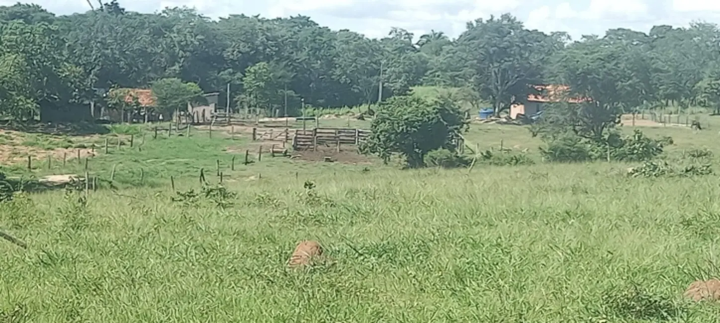Chácara com 3 quartos à venda em Arenopolis - GO - imagem 2 Foto 2 de Chácara com 3 quartos à venda em Arenopolis - GO