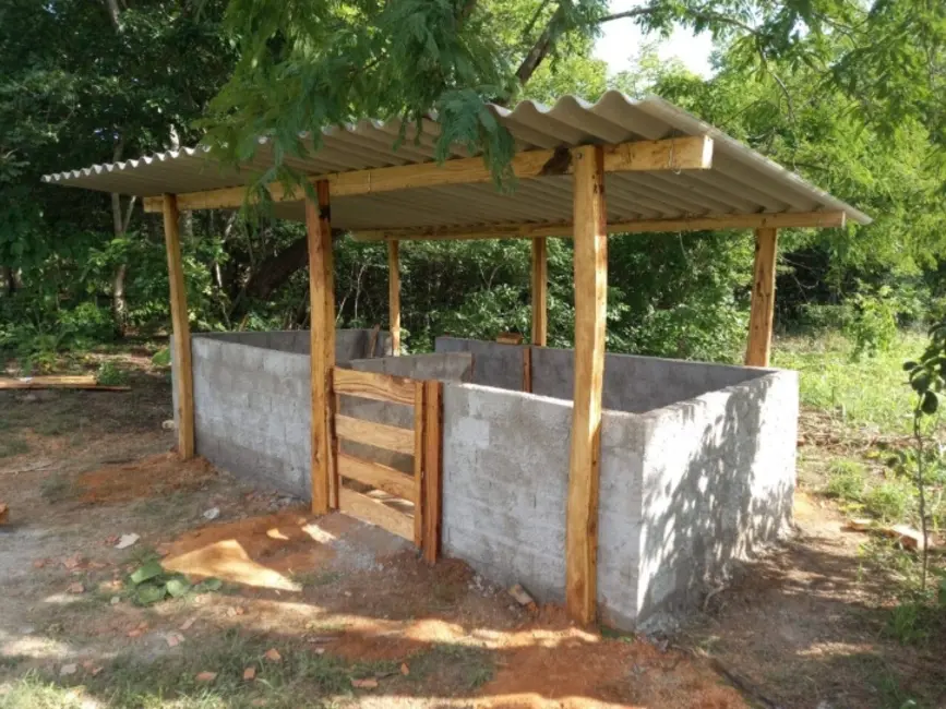 Chácara com 3 quartos à venda em Arenopolis - GO - imagem 6 Foto 6 de Chácara com 3 quartos à venda em Arenopolis - GO